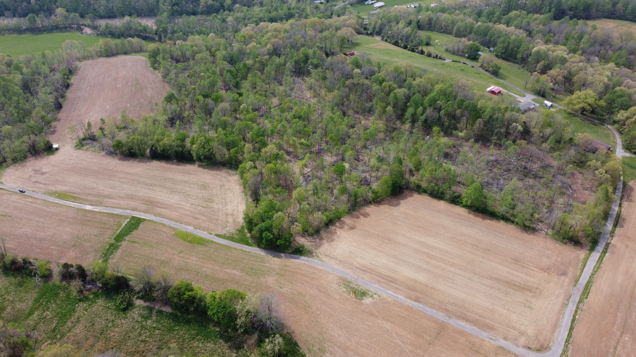 0 Trammel Creek Road Westmoreland, TN 37186 - Photo 4 of 6 a view of a dry yard with plants and large trees