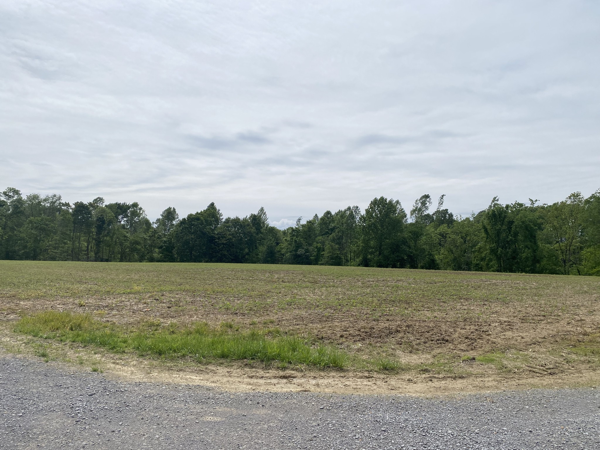 0 Trammel Creek Road Westmoreland, TN 37186 - Photo 6 of 6 a view of an outdoor space and a yard