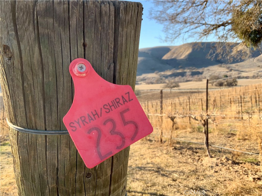 75751 Indian Valley Road San Miguel, CA 93451 - Photo 21 of 60