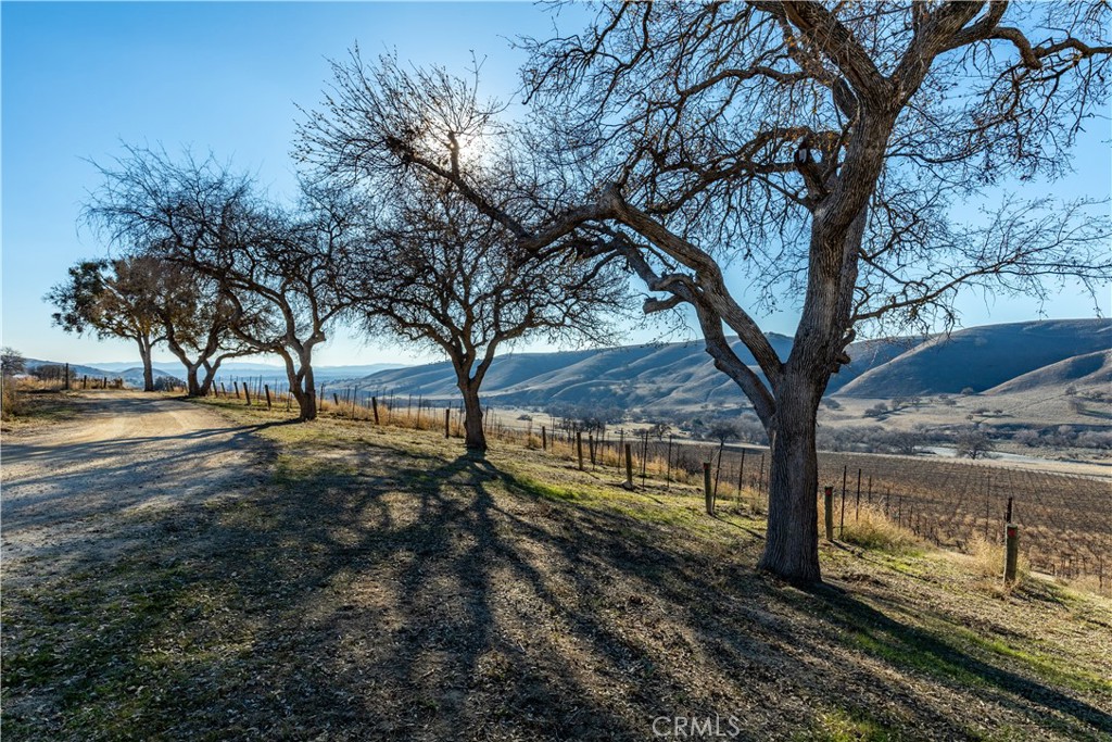 75751 Indian Valley Road San Miguel, CA 93451 - Photo 22 of 60 a view of yard with trees