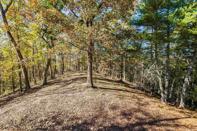 $495,000 | 65 Mountain Deer Run, West Augusta, VA 24485