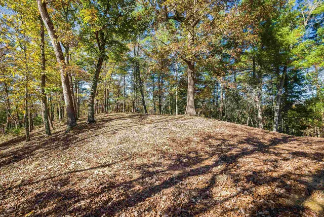 $499,999 | 65 Mountain Deer Run, West Augusta, VA 24485