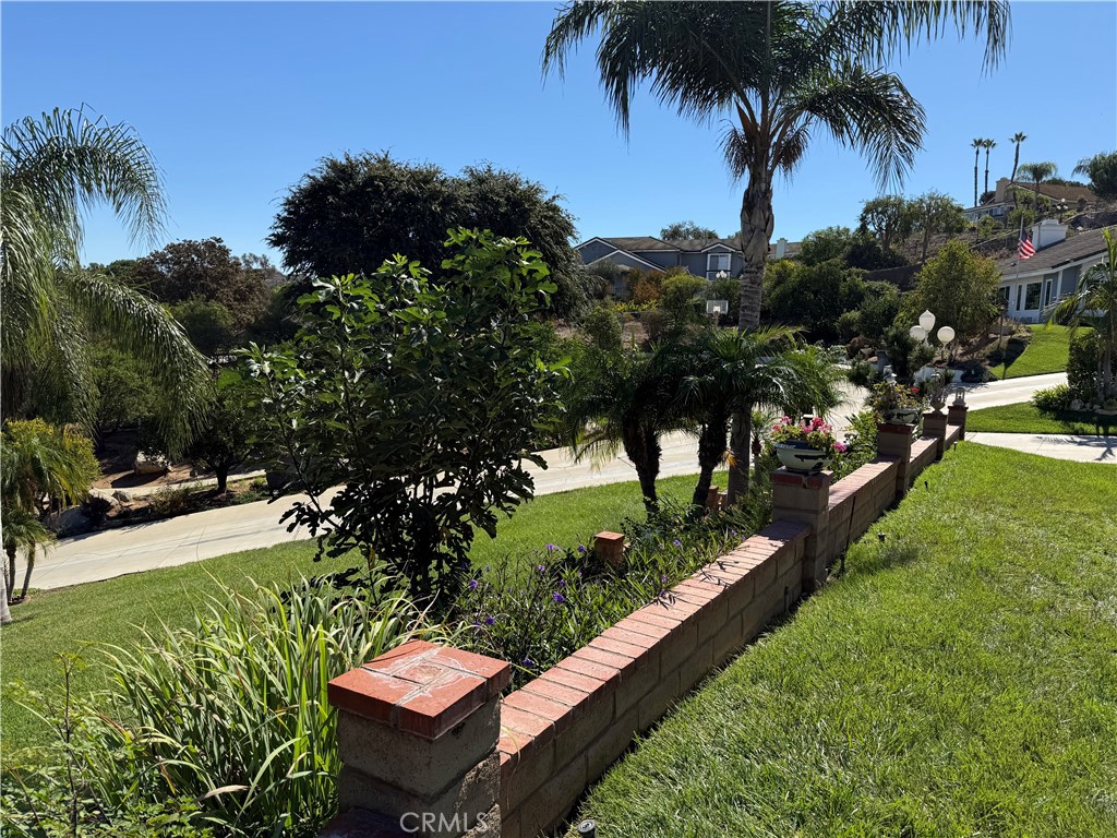 2000 Citrus Wood Lane Riverside, CA 92503 - Photo 43 of 51 a view of a backyard with a garden