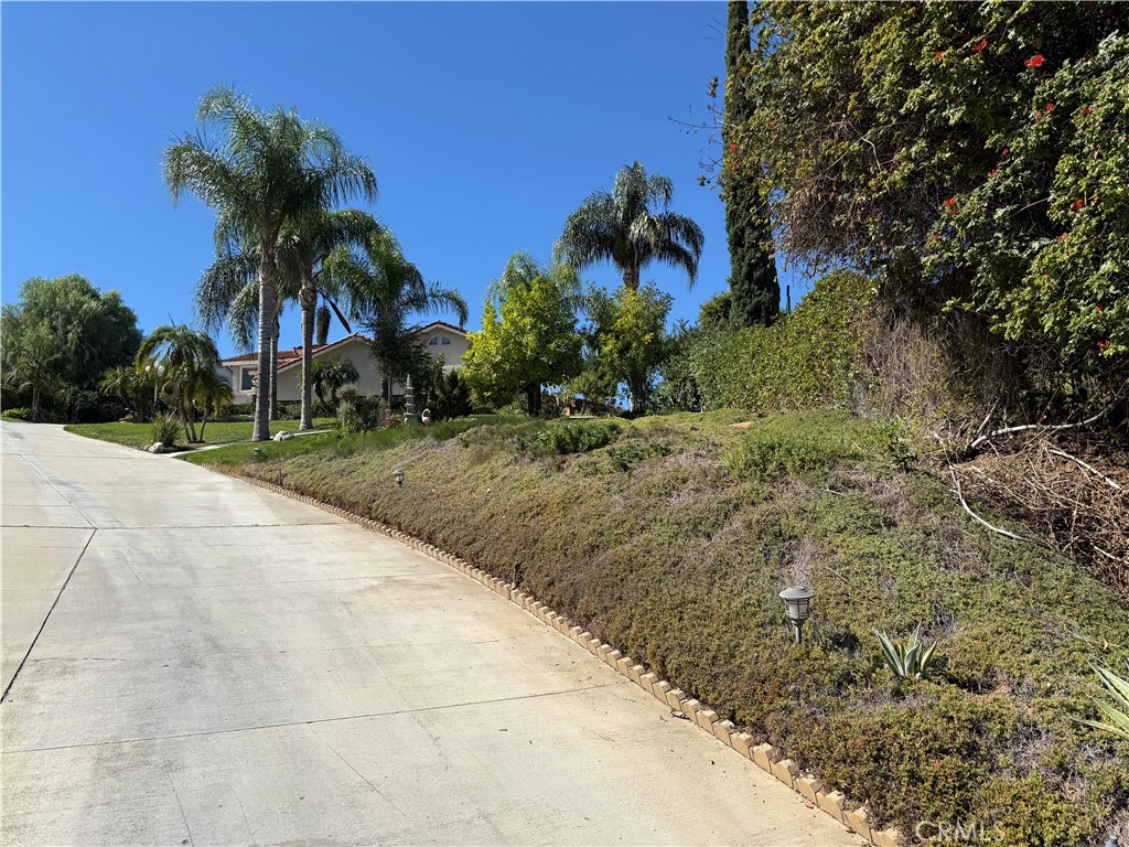 2000 Citrus Wood Lane Riverside, CA 92503 - Photo 49 of 51 a view of a backyard of a house