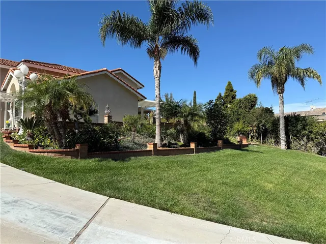 a house with palm tree in front of it