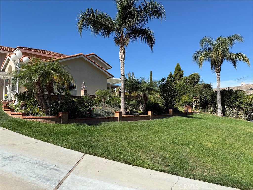 2000 Citrus Wood Lane Riverside, CA 92503 - Photo 7 of 51 a house with palm tree in front of it