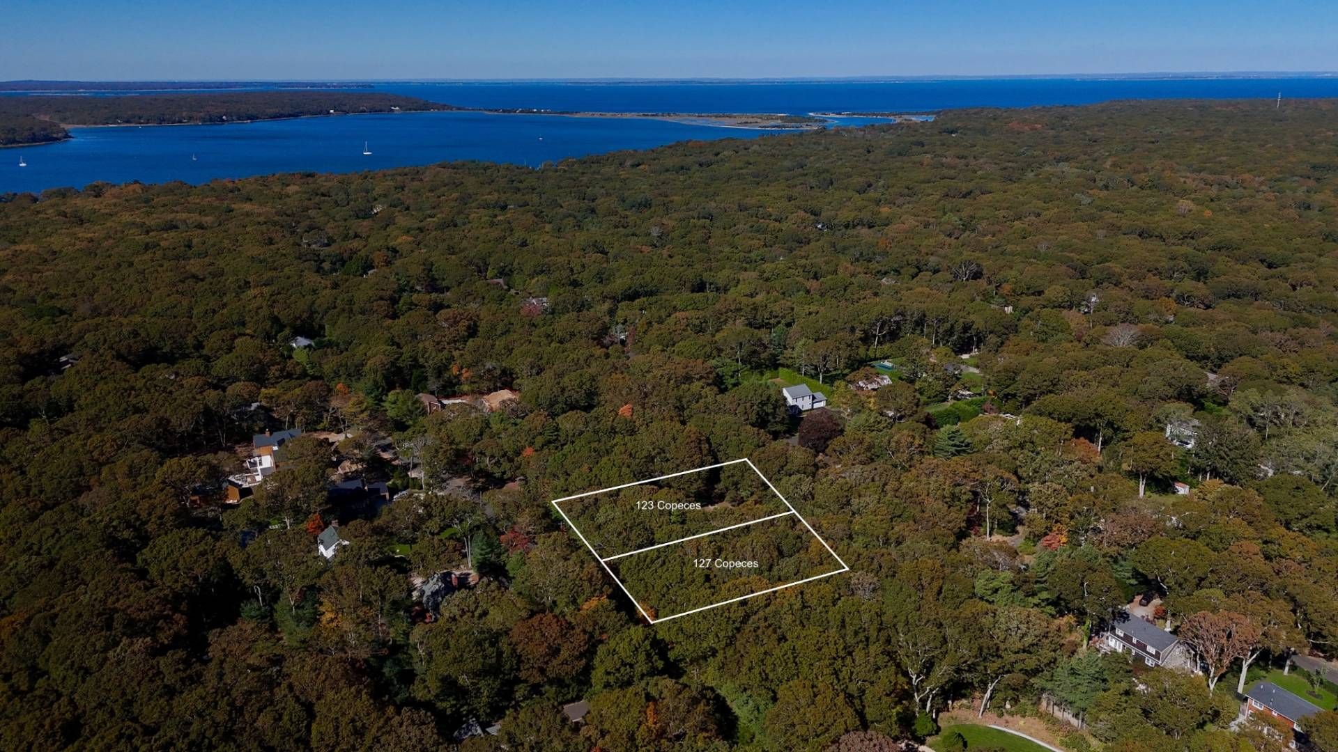 123 & 127 Copeces Lane East Hampton, NY 11937 - Photo 5 of 12