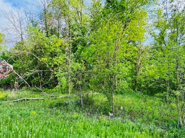 3881 East Robinson Road Amherst, NY 14228 - Photo 3 of 3