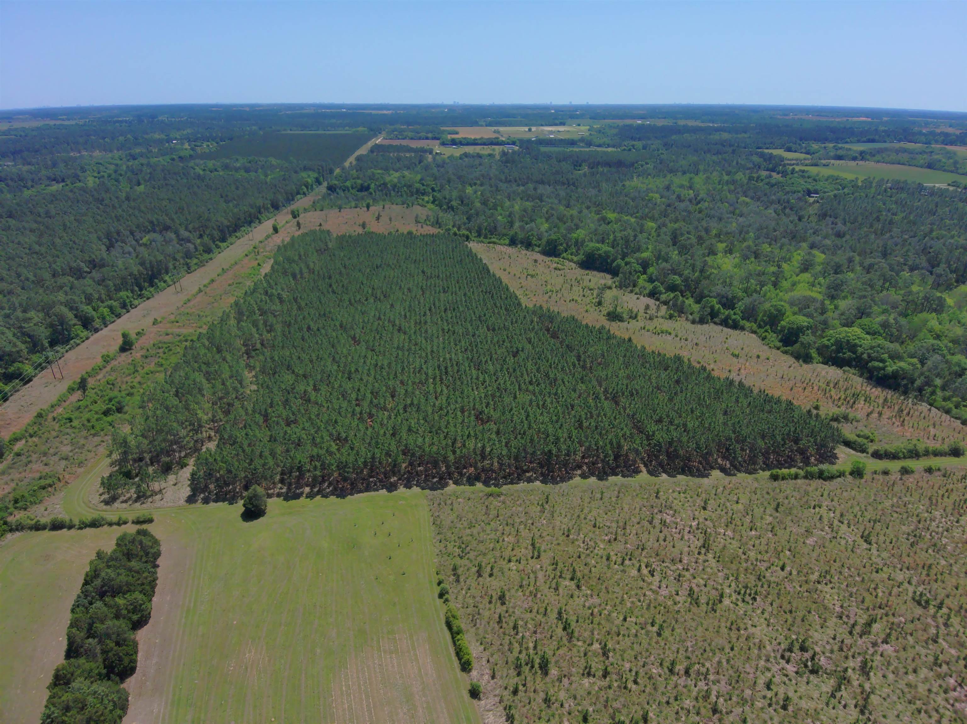 87 County Road 87 Elberta, AL 36530 - Photo 14 of 66