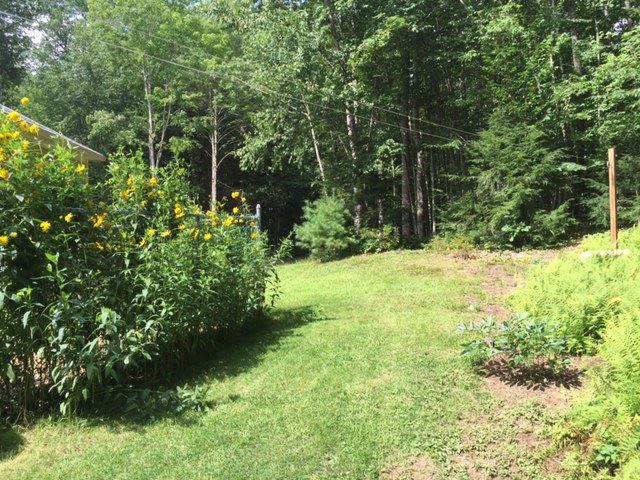 40 Thurston Pond Road Deerfield, NH 03037 - Photo 22 of 38 Gallery Image 22
