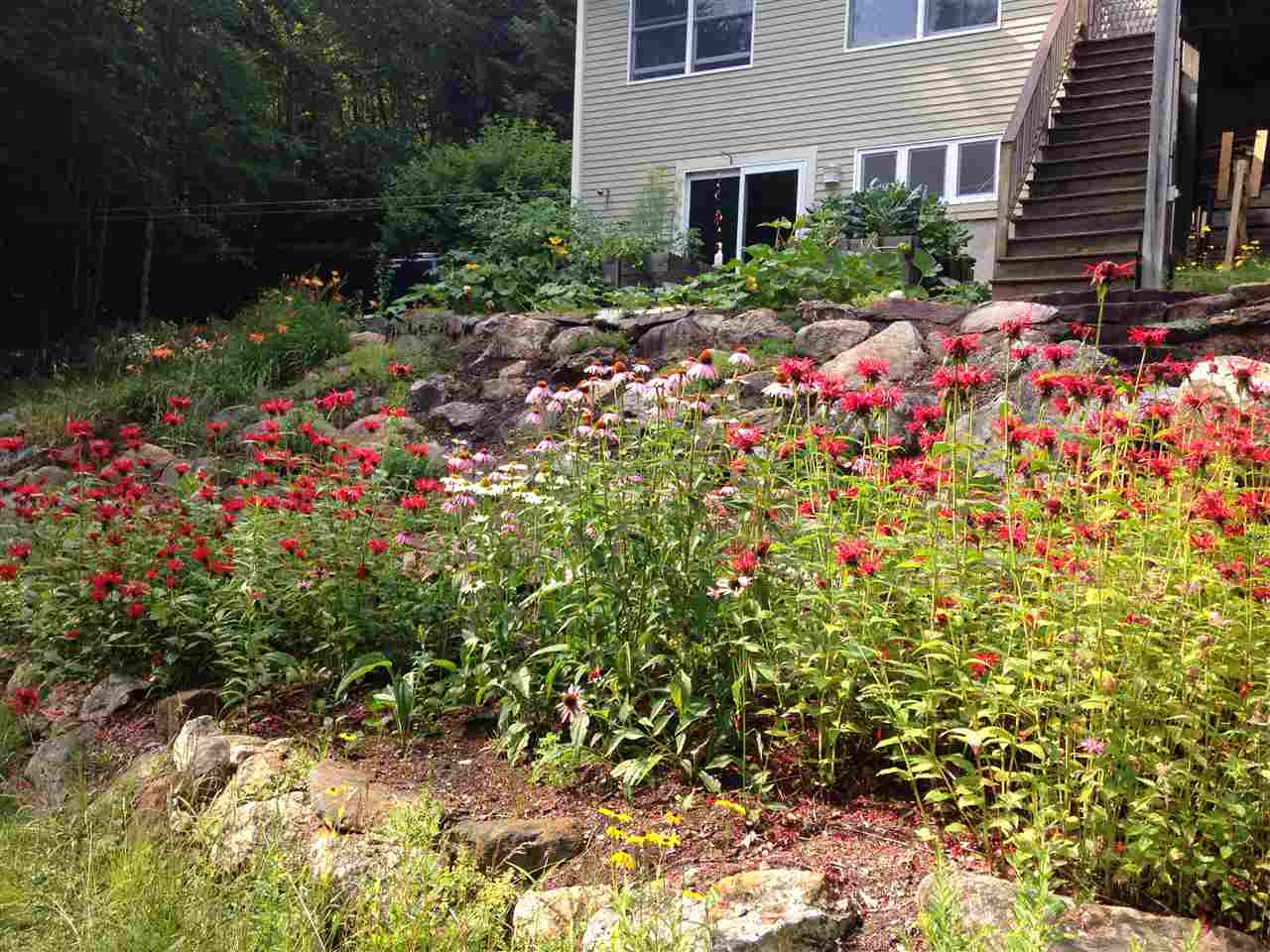 40 Thurston Pond Road Deerfield, NH 03037 - Photo 29 of 38 Gallery Image 29