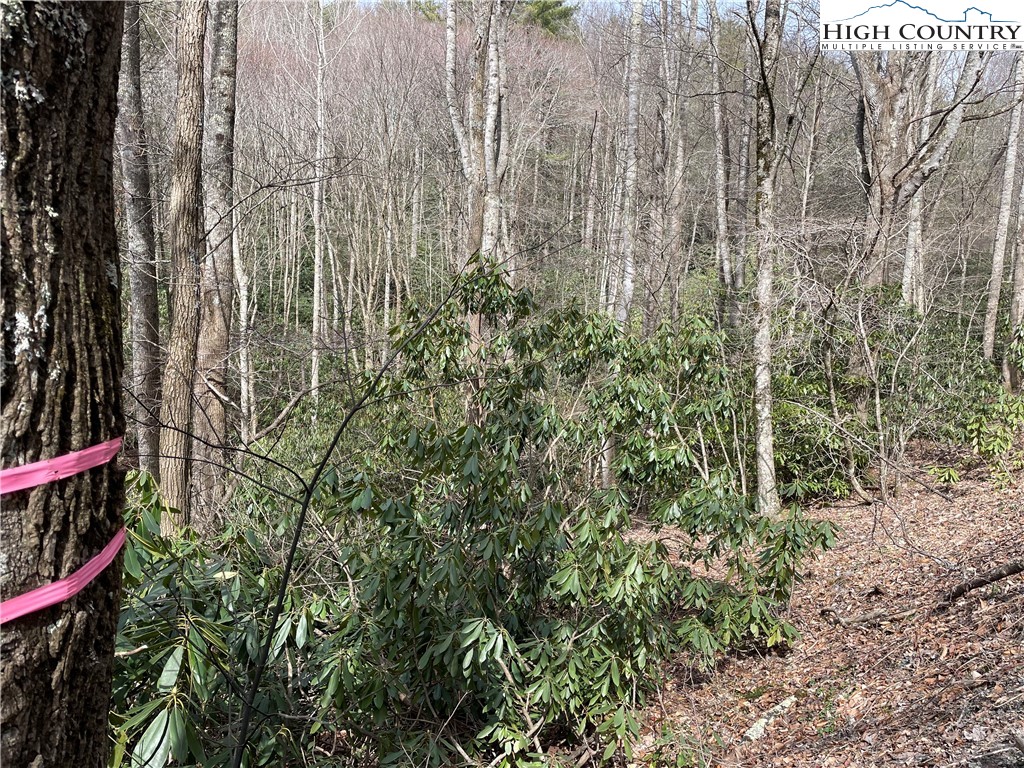 Pine Mountain Road Creston, NC 28615 - Photo 1 of 6 Gallery Image 1