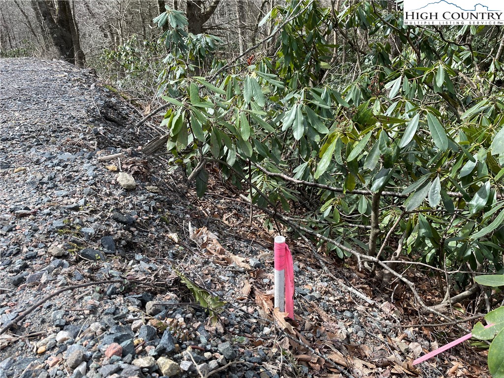 Pine Mountain Road Creston, NC 28615 - Photo 2 of 6 Gallery Image 2