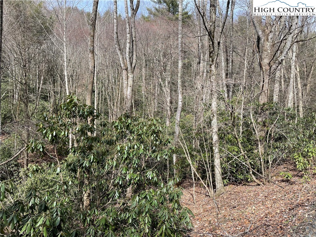 Pine Mountain Road Creston, NC 28615 - Photo 3 of 6 Gallery Image 3