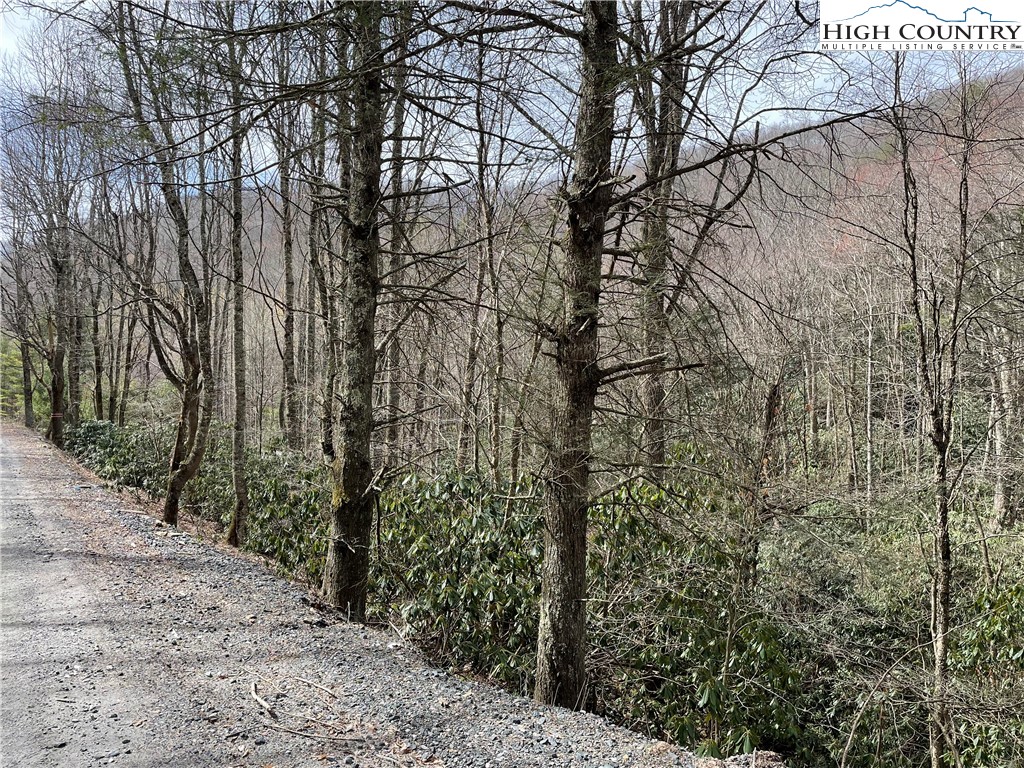 Pine Mountain Road Creston, NC 28615 - Photo 4 of 6 Gallery Image 4
