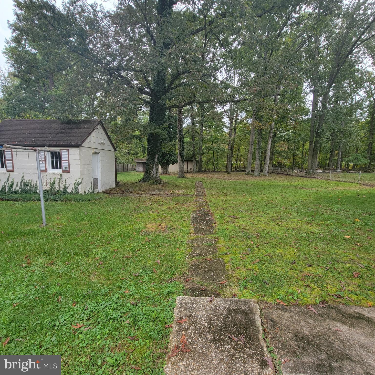13300 Williams Drive Brandywine, MD 20613 - Photo 15 of 17 a big yard with large trees and plants