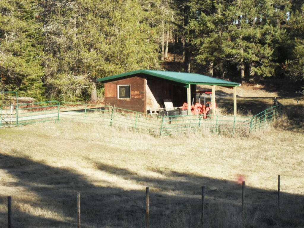 819 Lindsay Road Colville, WA 99114 - Photo 8 of 20