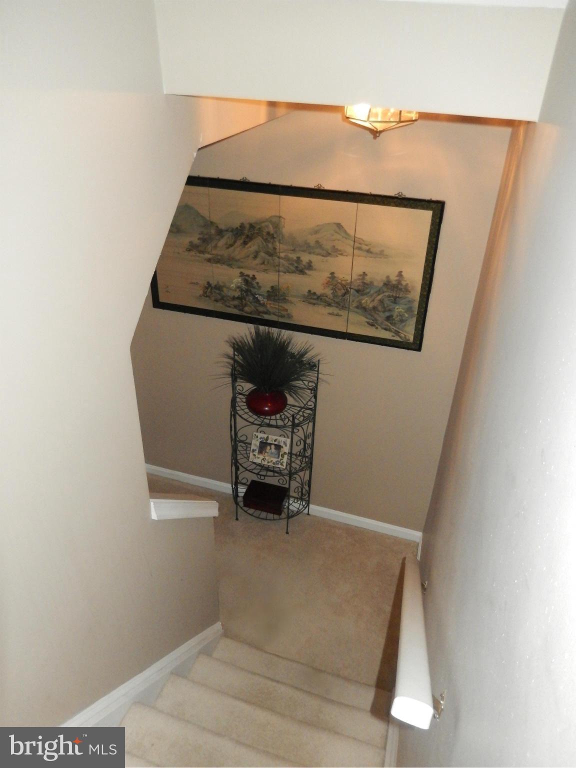 6039 Riddle Walk Alexandria, VA 22312 - Photo 12 of 30 Staircase going Up