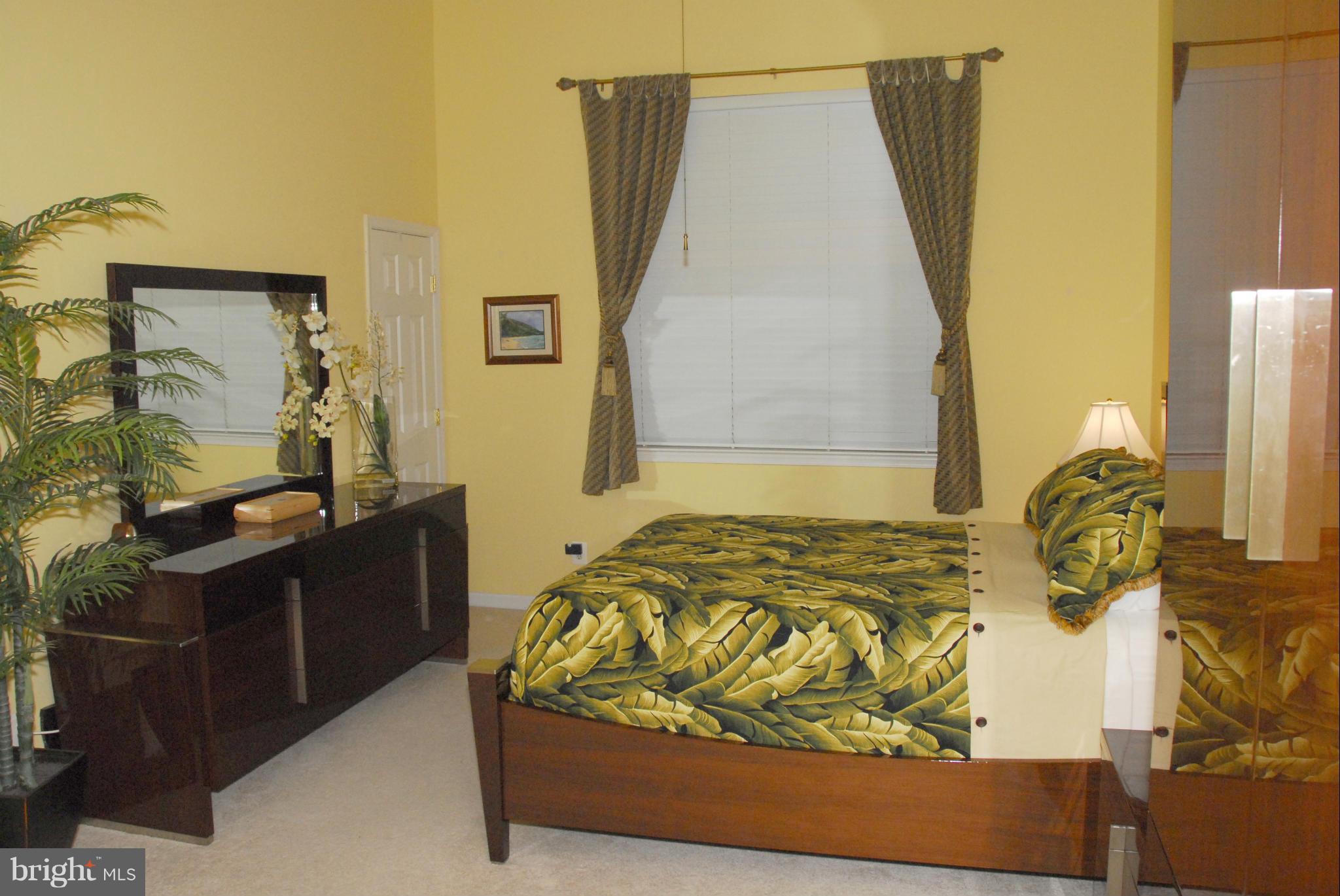 6039 Riddle Walk Alexandria, VA 22312 - Photo 17 of 30 Master Bedroom #1 w Vaulted Ceilings