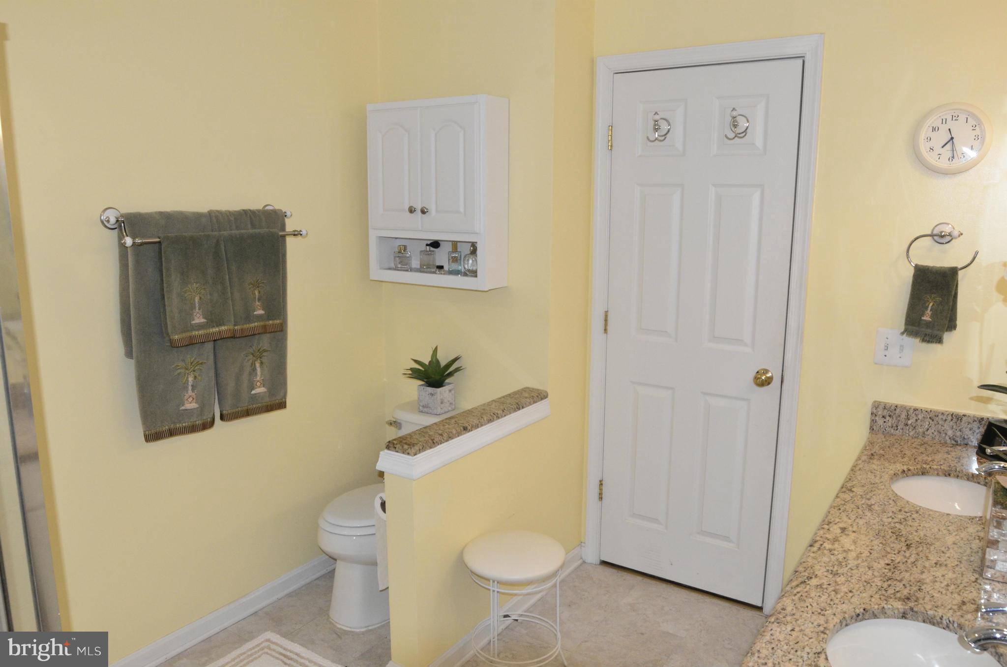 6039 Riddle Walk Alexandria, VA 22312 - Photo 18 of 30 Master Bath #1
