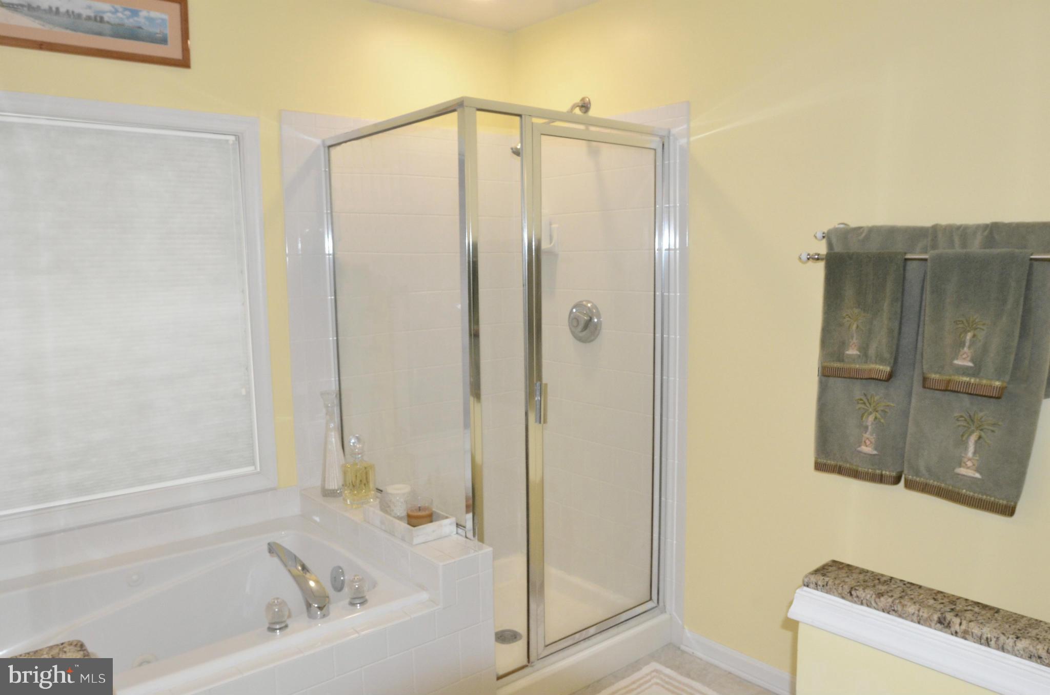 6039 Riddle Walk Alexandria, VA 22312 - Photo 19 of 30 Master Bath #1