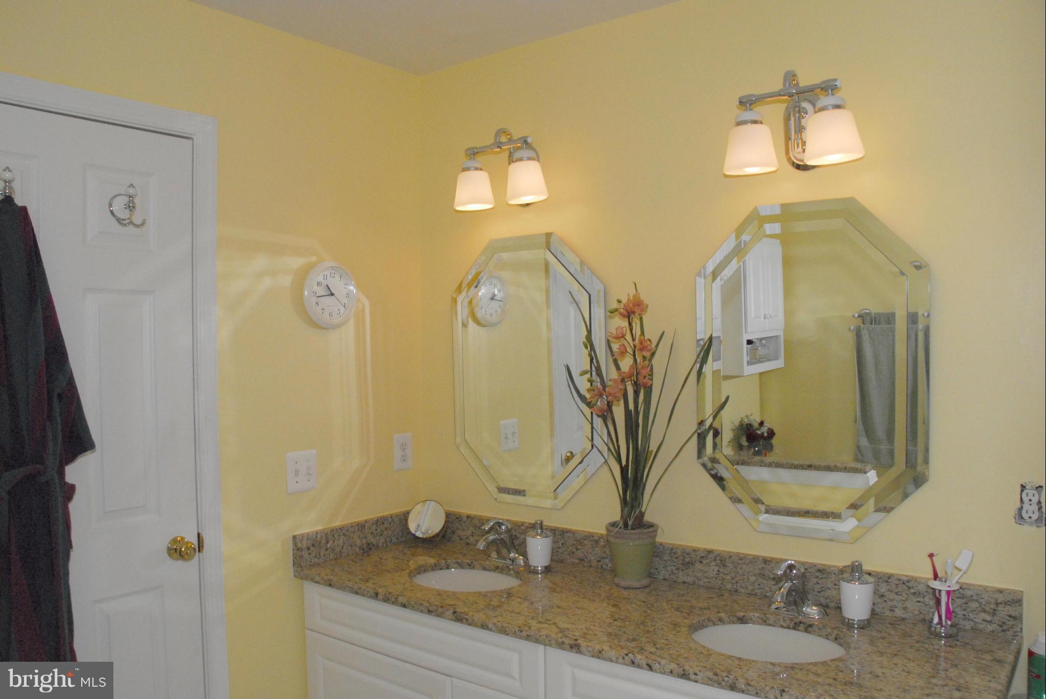 6039 Riddle Walk Alexandria, VA 22312 - Photo 20 of 30 Master Bath #1