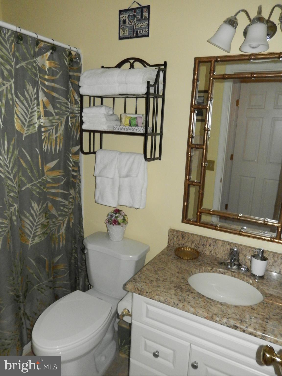 6039 Riddle Walk Alexandria, VA 22312 - Photo 23 of 30 Master Bath #2