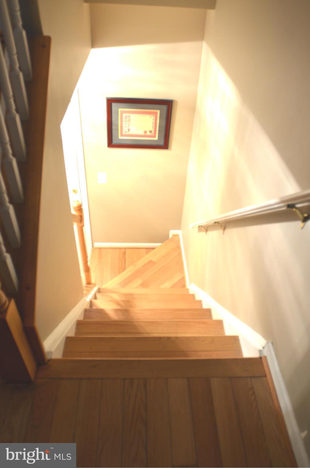 6039 Riddle Walk Alexandria, VA 22312 - Photo 27 of 30 Staircase Going to Lower Level