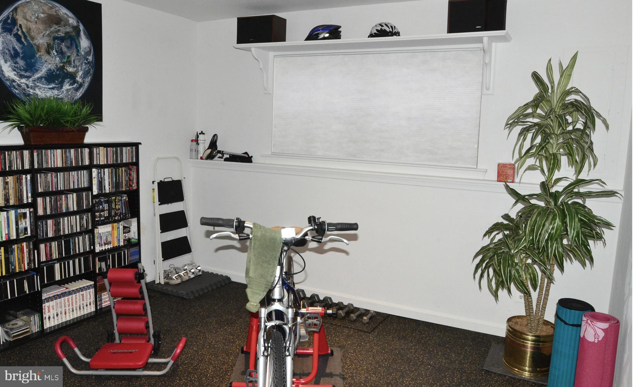 6039 Riddle Walk Alexandria, VA 22312 - Photo 28 of 30 Lower Level Rec Room