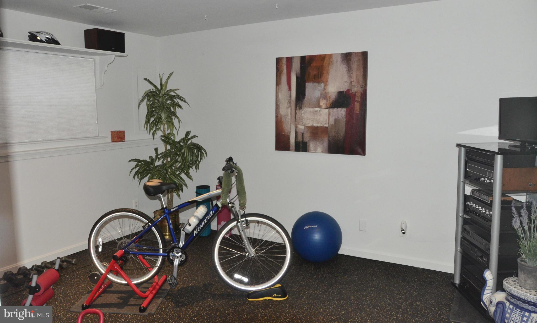 6039 Riddle Walk Alexandria, VA 22312 - Photo 29 of 30 Lower Level Rec Room