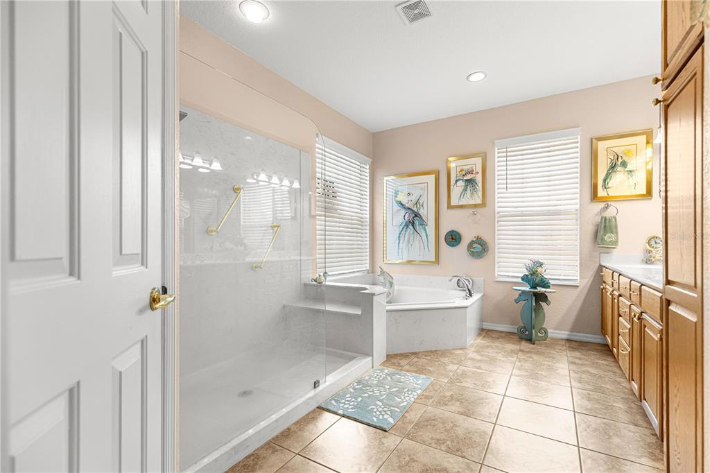 9687 Southeast 137th Street Road Summerfield, FL 34491 - Photo 50 of 81