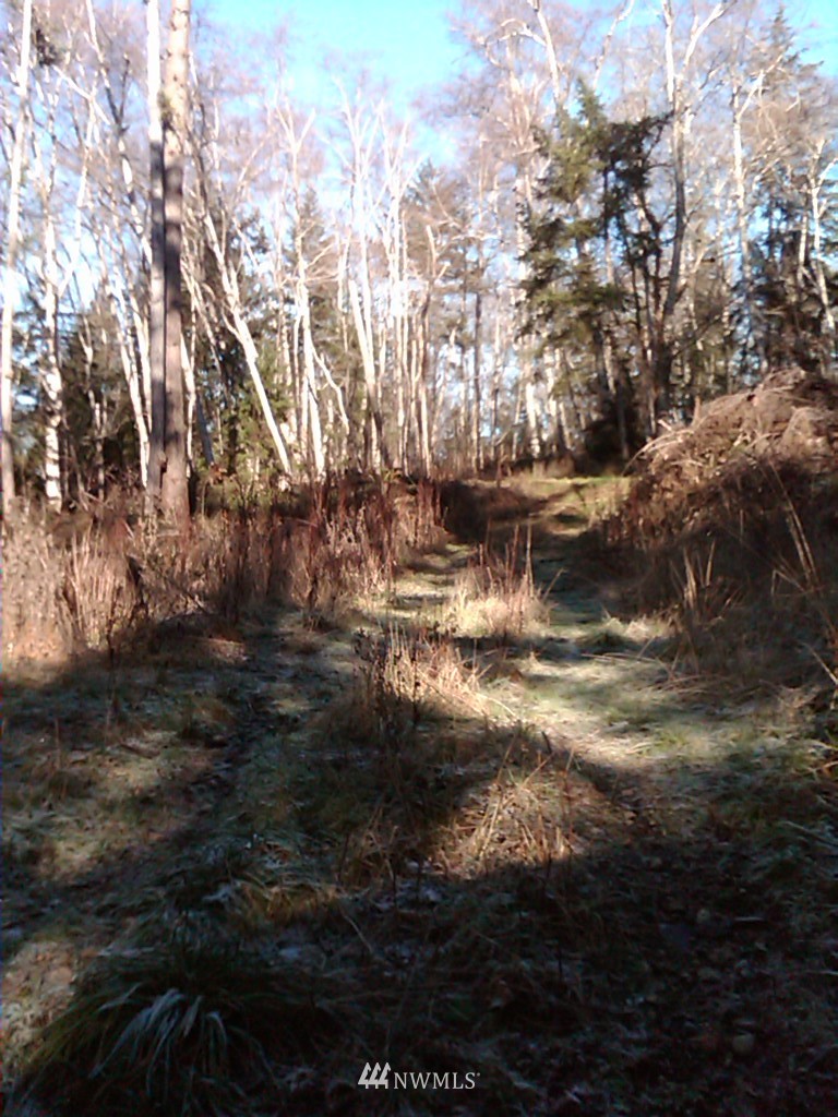 99 Deer Road Quilcene, WA 98376 - Photo 1 of 1 Gallery Image 1