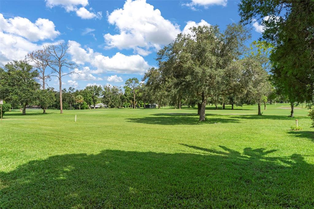 8505 East Sandpiper Drive Inverness, FL 34450 - Photo 44 of 49