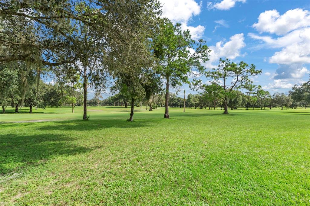 8505 East Sandpiper Drive Inverness, FL 34450 - Photo 45 of 49