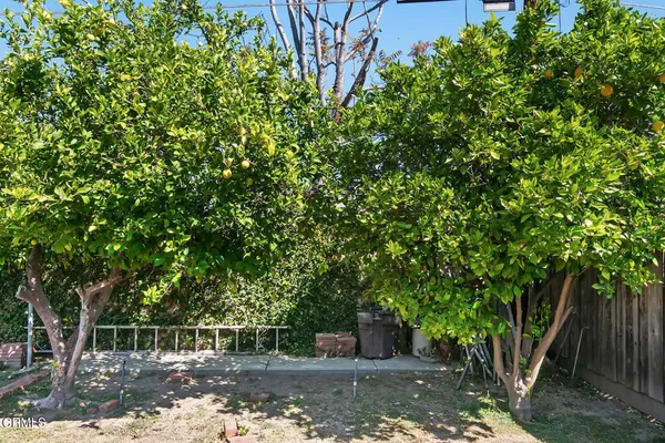a view of a tree in front of a house