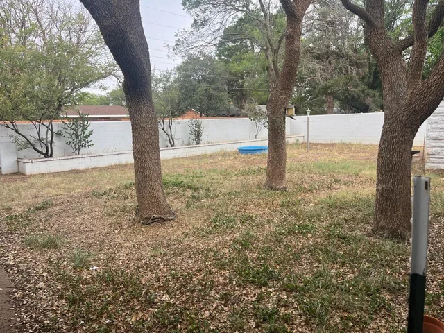 a view of a tree in the middle of a yard