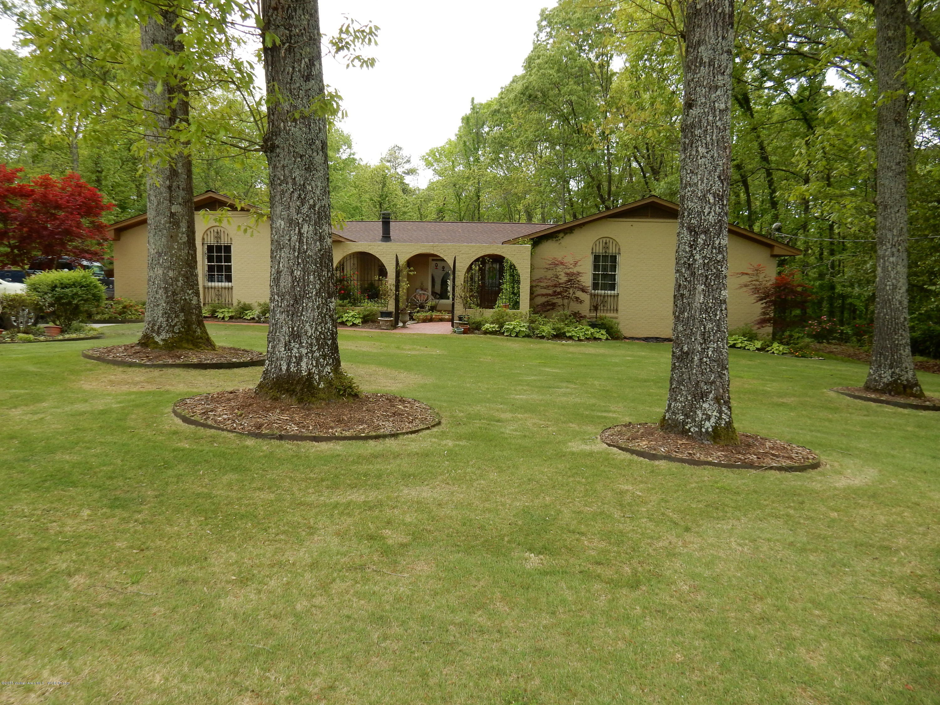 1700 Shades Cliff Road Jasper, AL 35504 - Photo 2 of 35 Gallery Image 2