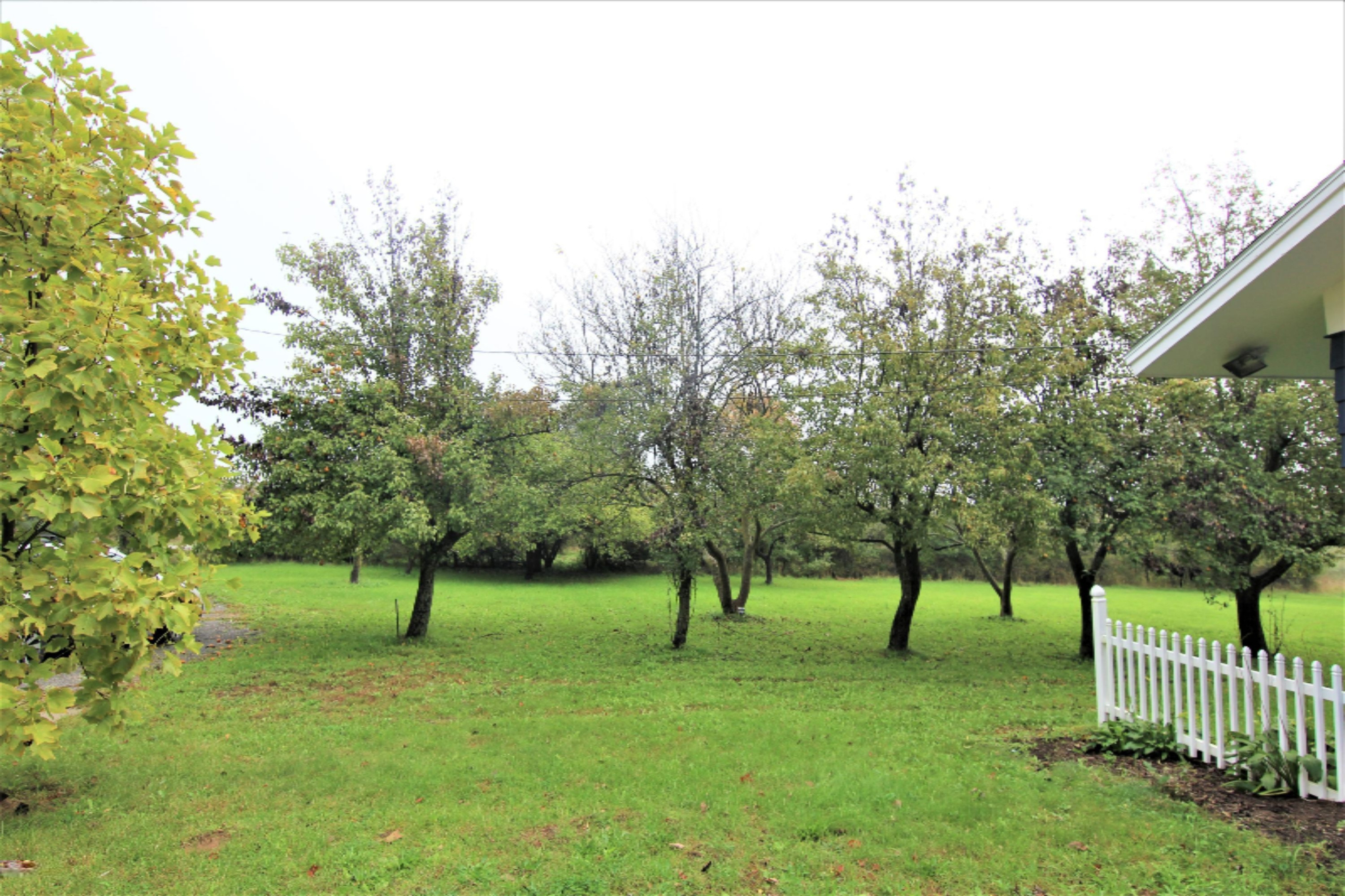 3375 Benston Road Whitehall, MI 49461 - Photo 44 of 49 Pear Orchard