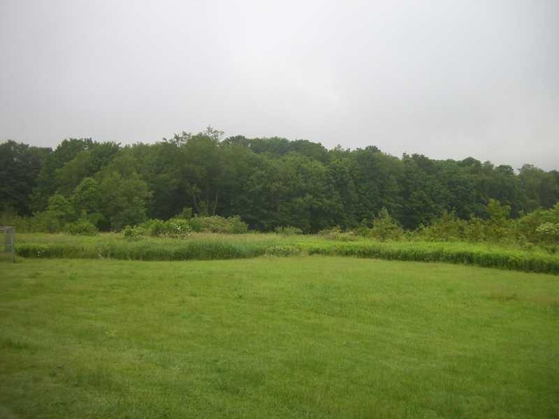 3643 Hadley Road Clarks Mills, PA 16114 - Photo 18 of 18 Yard/Garden.