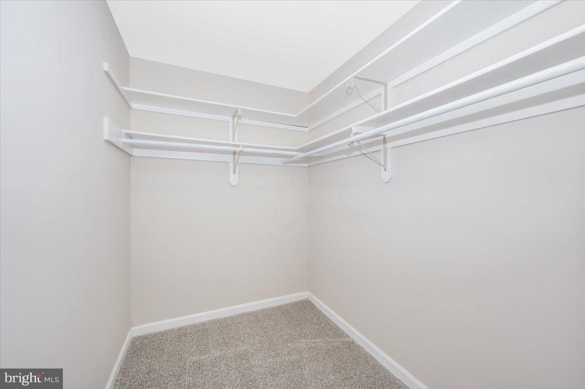 8200 Red Wing Court Frederick, MD 21701 - Photo 19 of 40 a view of an empty walk in closet