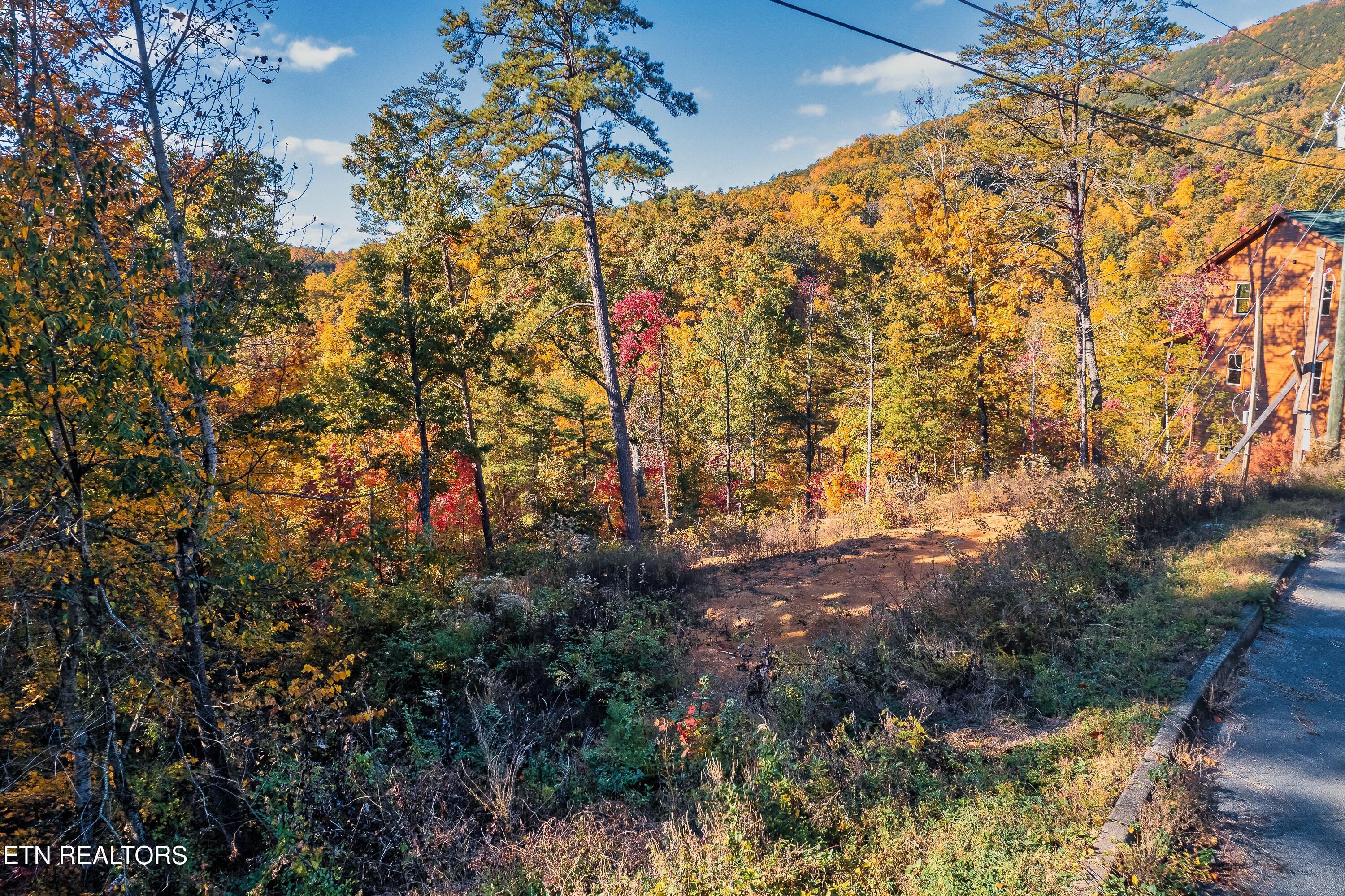 Bluff Ridge Road Sevierville, TN 37876 - Photo 2 of 11 BR98-3