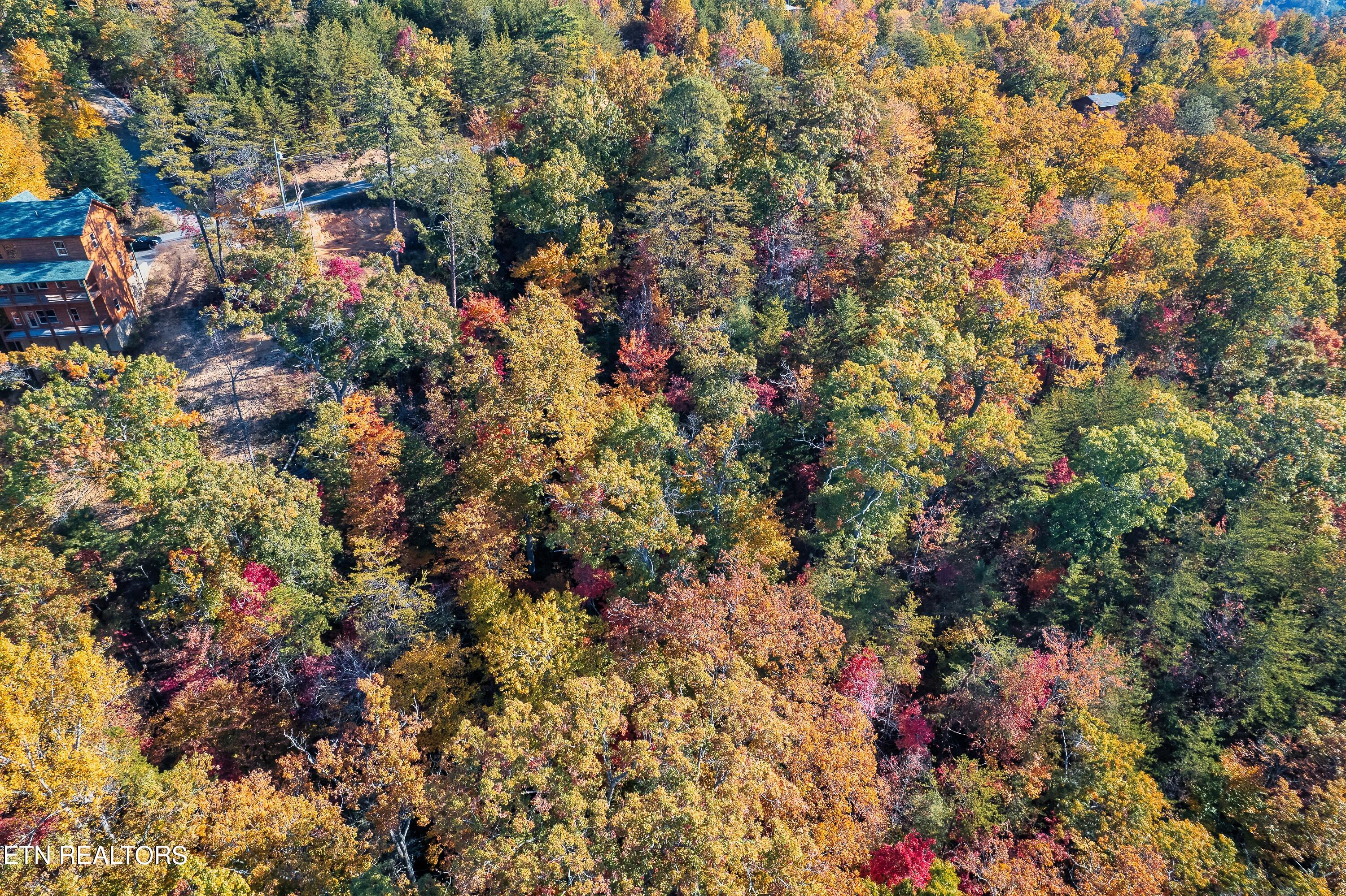 Bluff Ridge Road Sevierville, TN 37876 - Photo 4 of 11 BR98-5