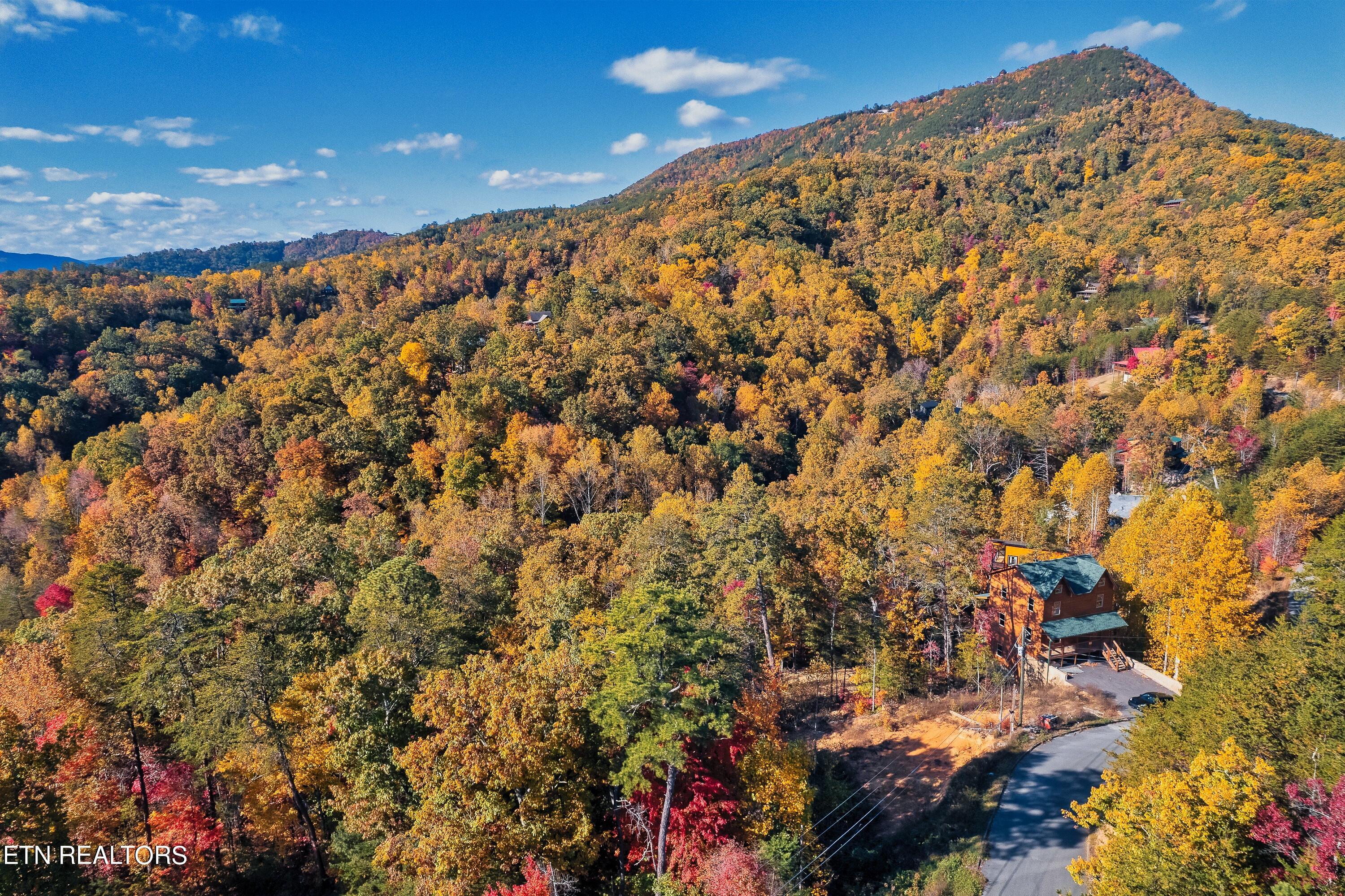 Bluff Ridge Road Sevierville, TN 37876 - Photo 6 of 11 BR98-7