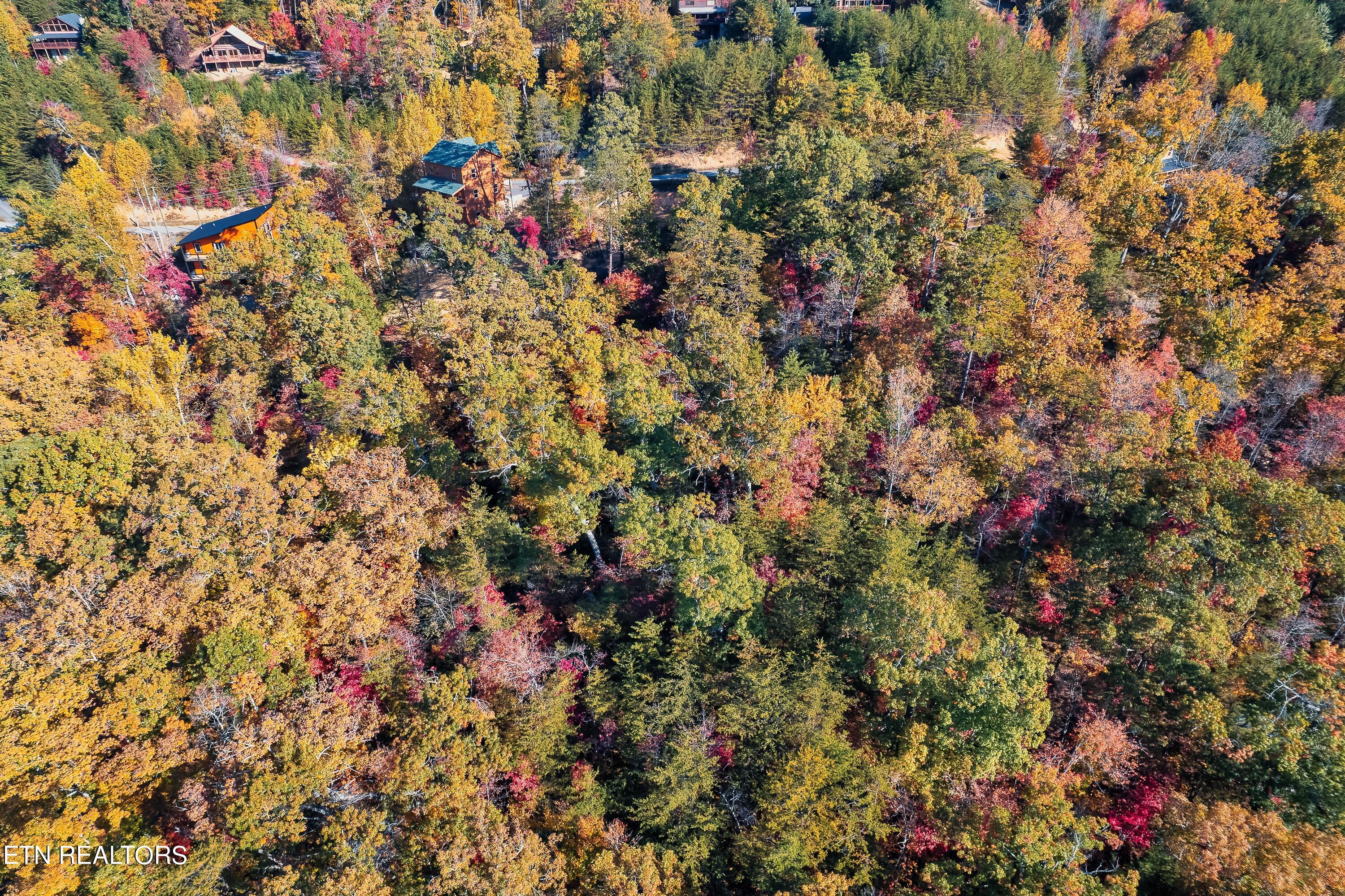 Bluff Ridge Road Sevierville, TN 37876 - Photo 7 of 11 BR98-6
