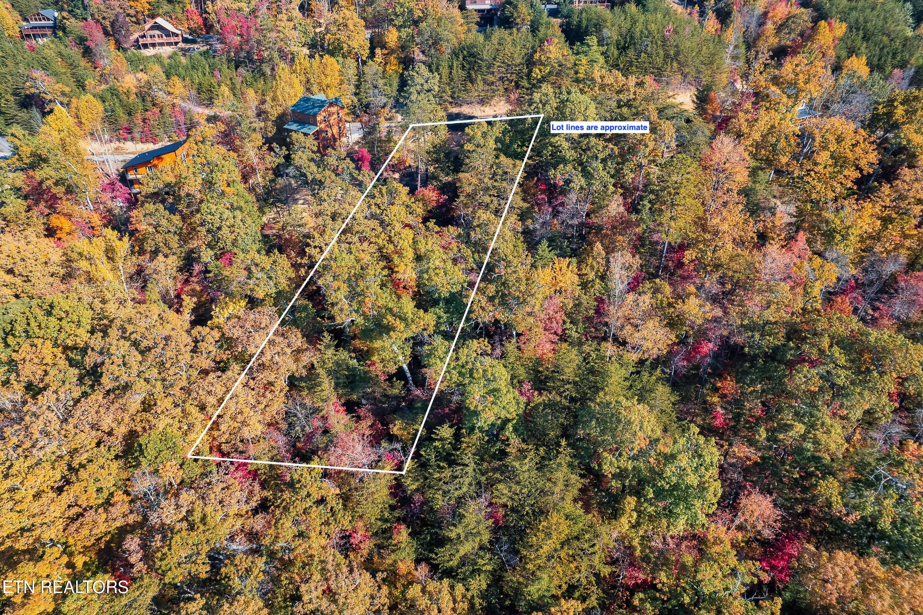 Bluff Ridge Road Sevierville, TN 37876 - Photo 8 of 11 BR98-6