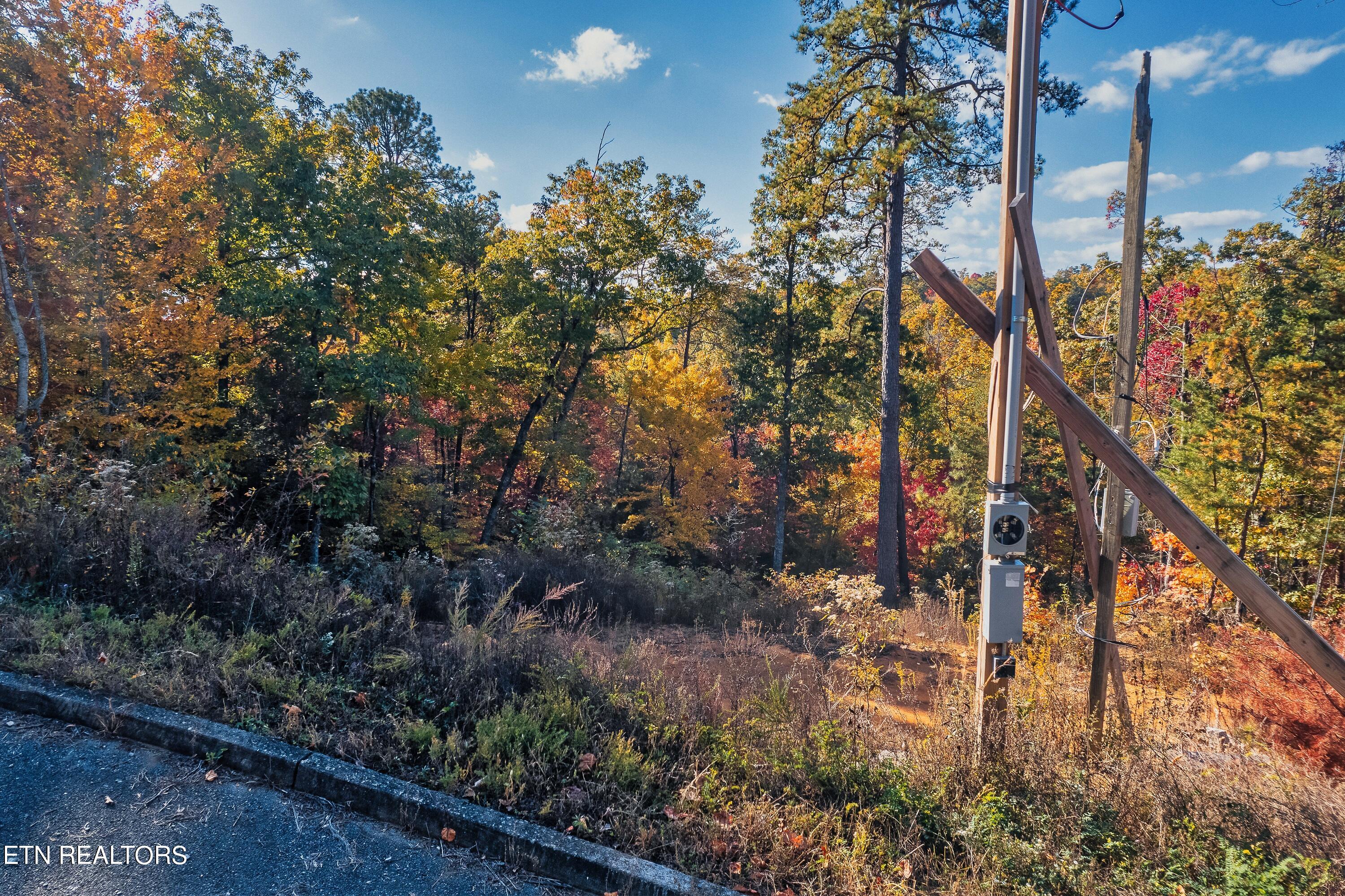 Bluff Ridge Road Sevierville, TN 37876 - Photo 9 of 11 BR98-2