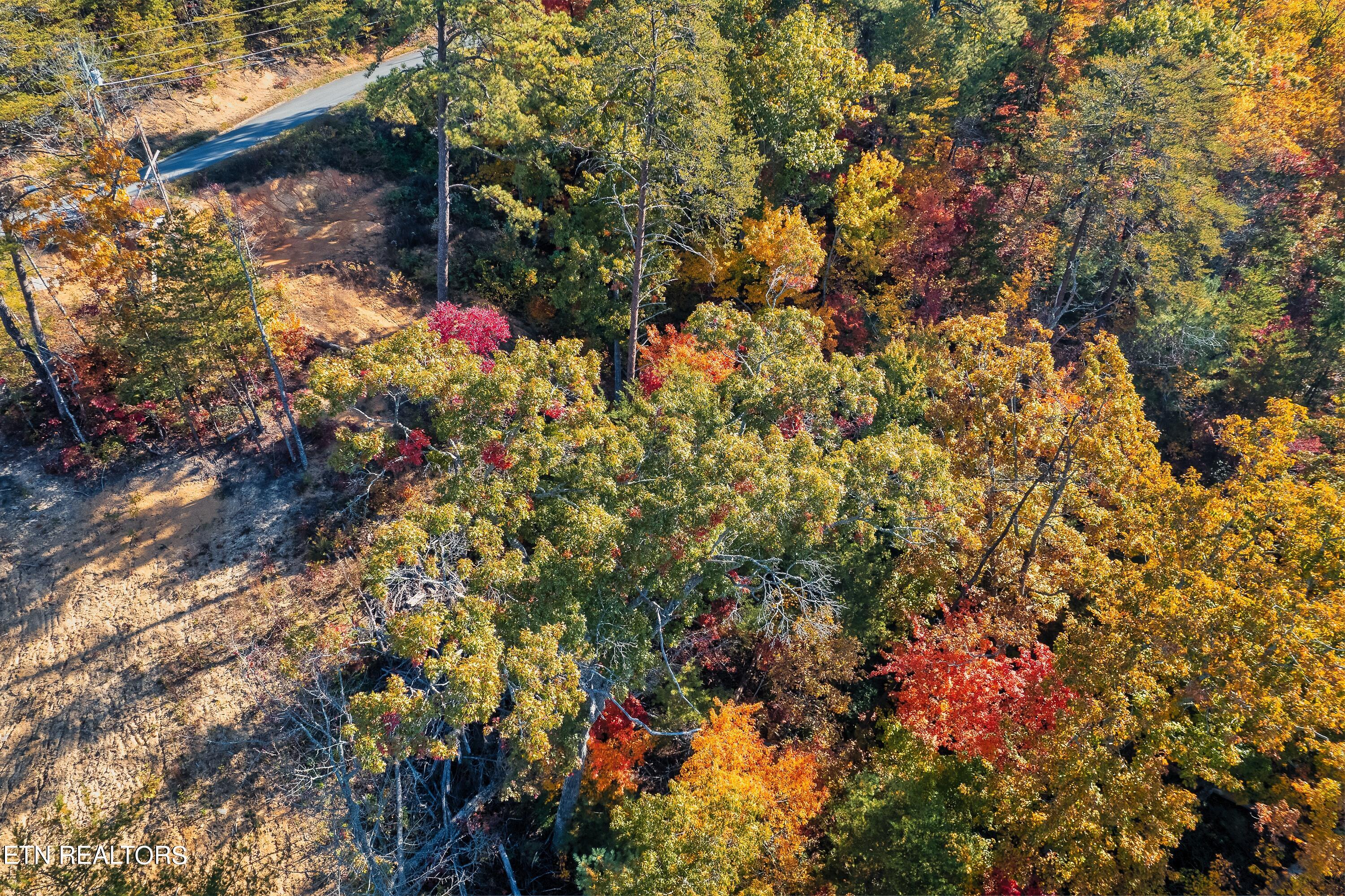 Bluff Ridge Road Sevierville, TN 37876 - Photo 10 of 11 BR98-4