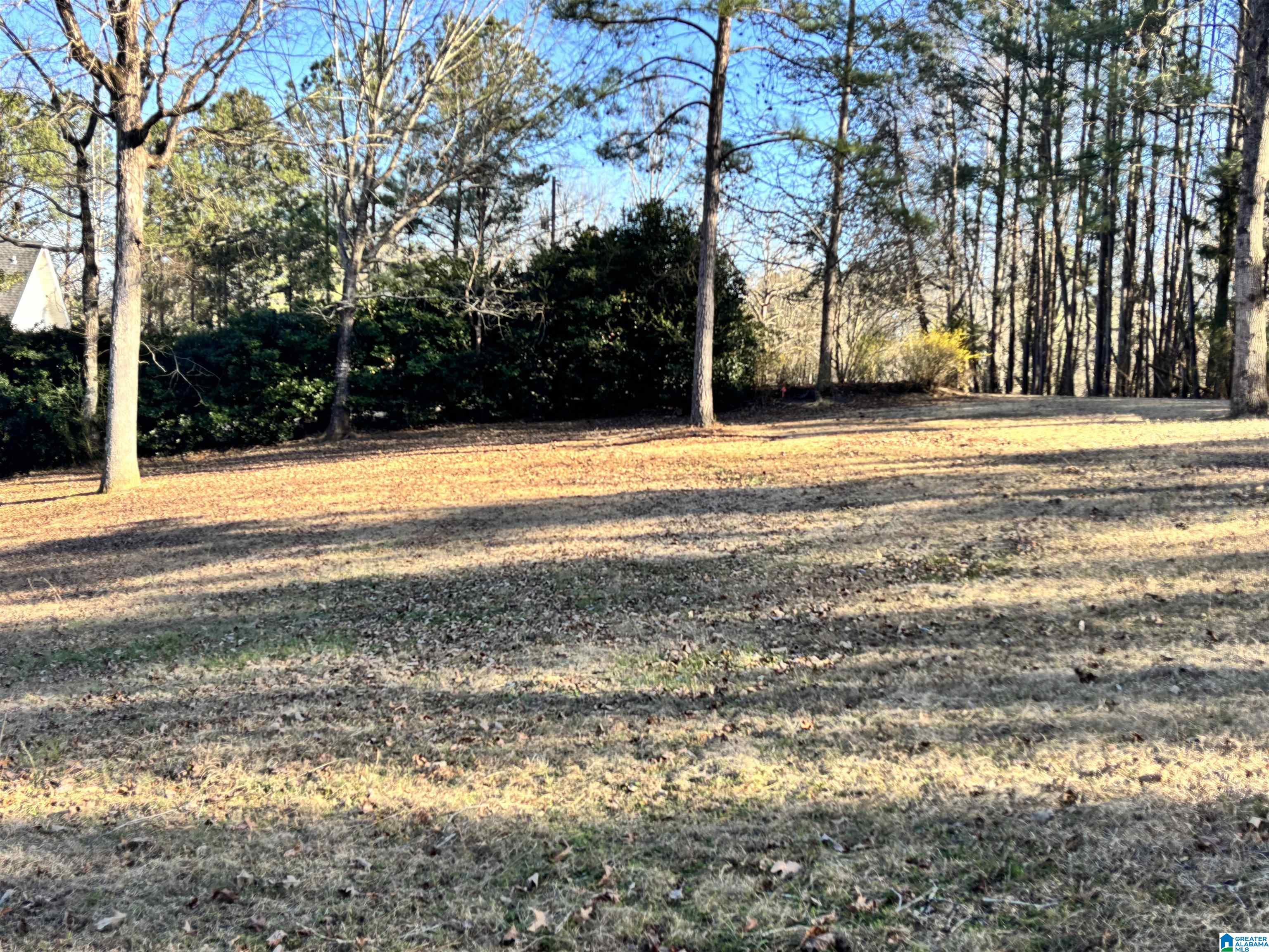 0 Ridge Drive, Unit LOT 1 Shelby, AL 35143 - Photo 2 of 3