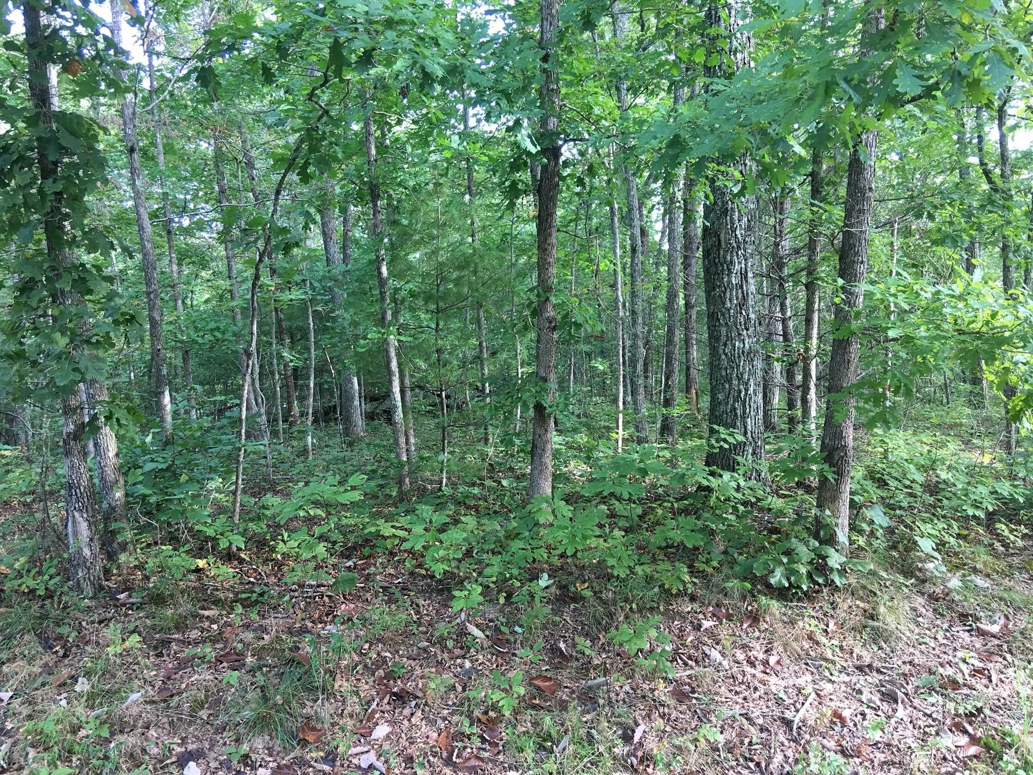 320 Bainbridge Road Crossville, TN 38558 - Photo 1 of 1 Gallery Image 1