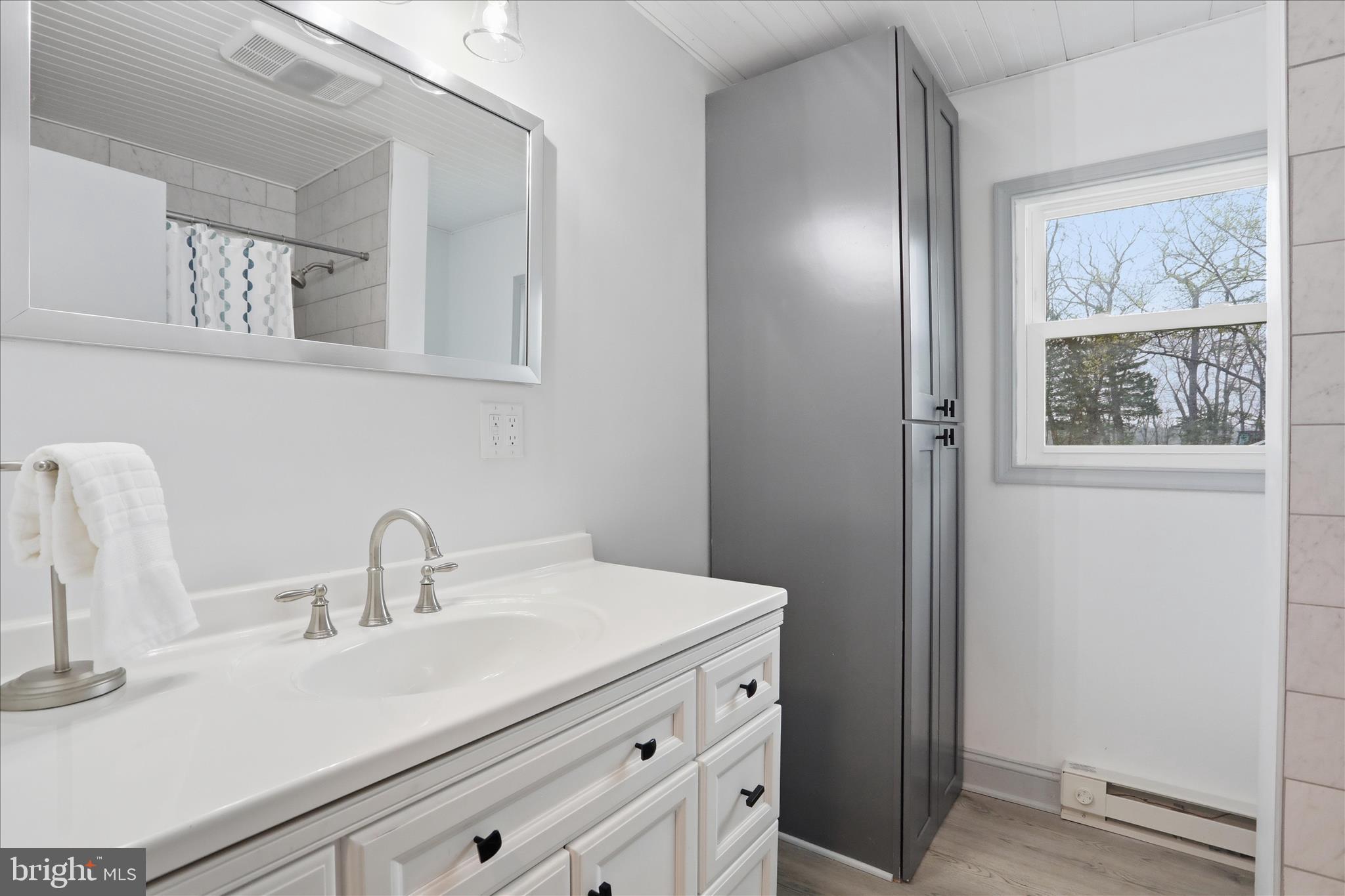 1310 Siler Road Winchester, VA 22603 - Photo 29 of 39 Hall Bathroom w/ storage and private area for comm